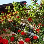 Sassi