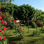 فيلة Sassi كومو